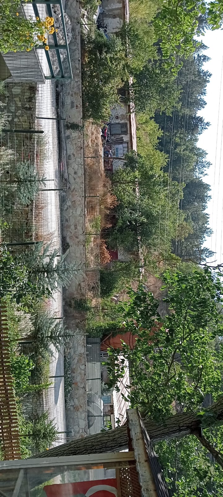İlan Görseli