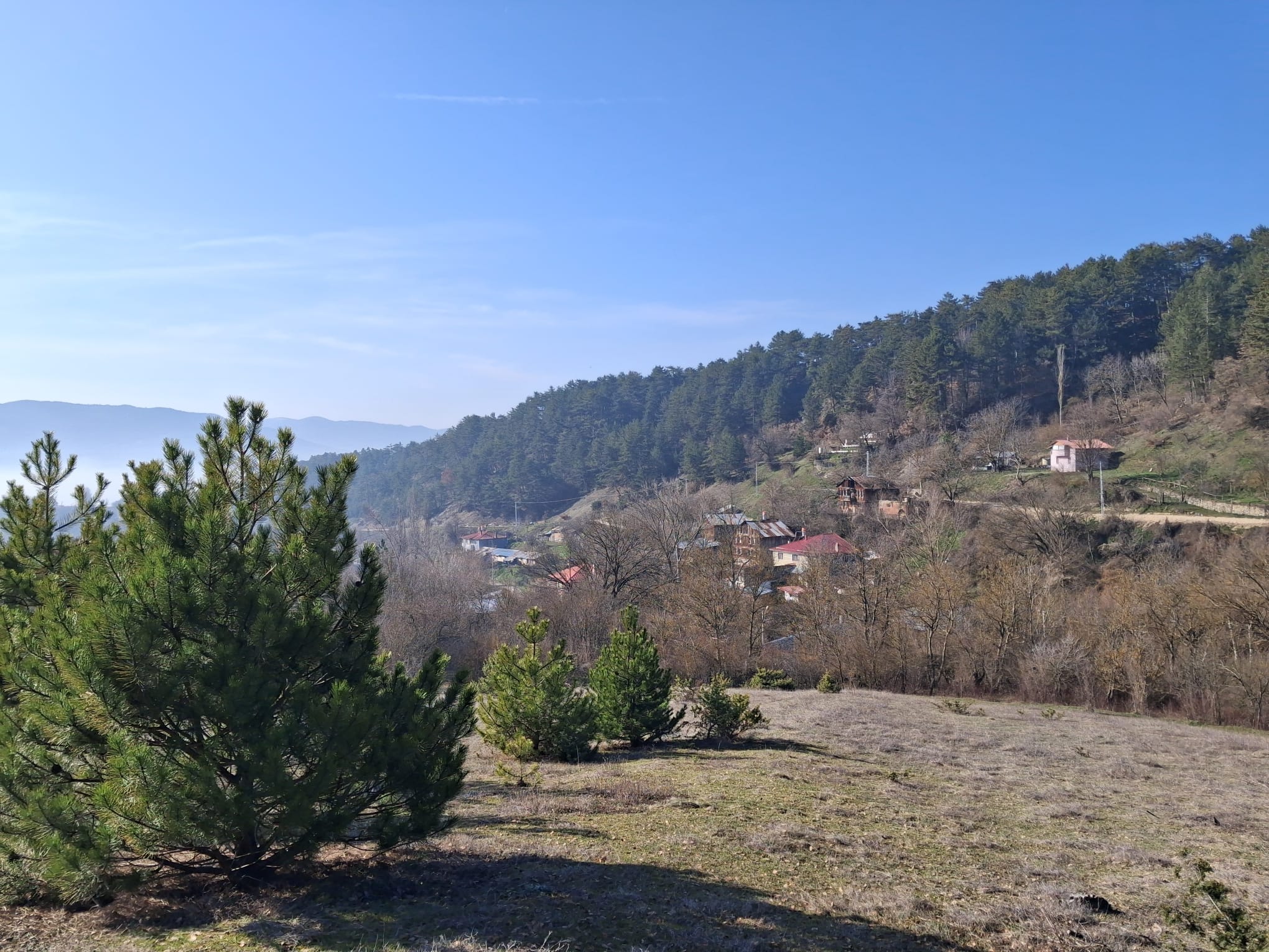 İlan Görseli