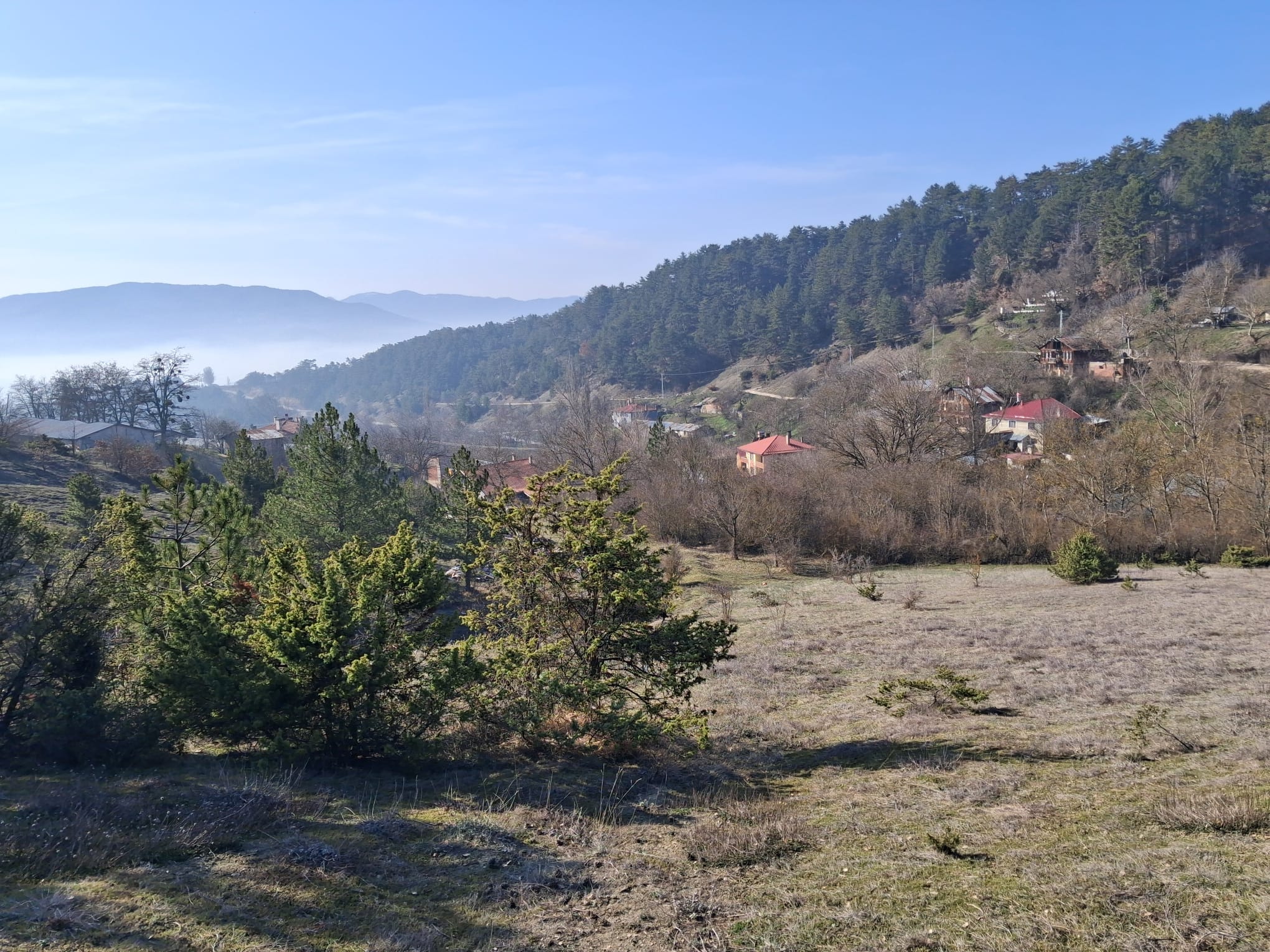 İlan Görseli