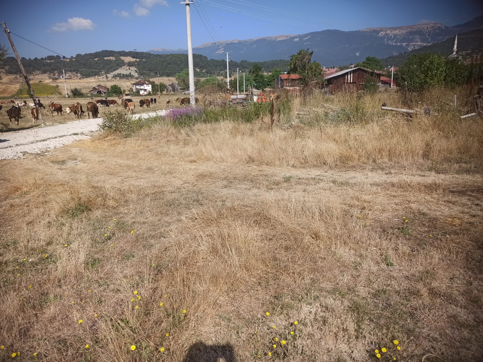 Mudurnu Sarıyar Köyü'nde Satılık 3438 M² Köyiçi Arazi
