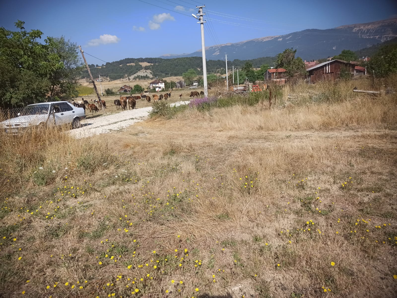 Mudurnu Sarıyar Köyü'nde Satılık 3438 M² Köyiçi Arazi