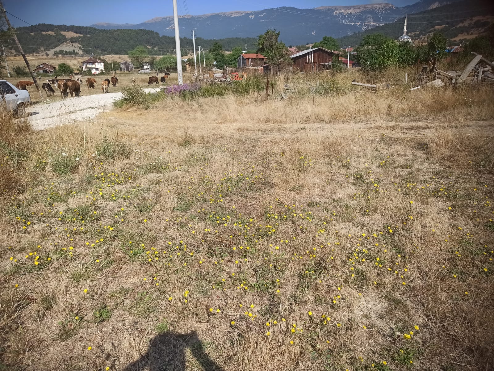 Mudurnu Sarıyar Köyü'nde Satılık 3438 M² Köyiçi Arazi