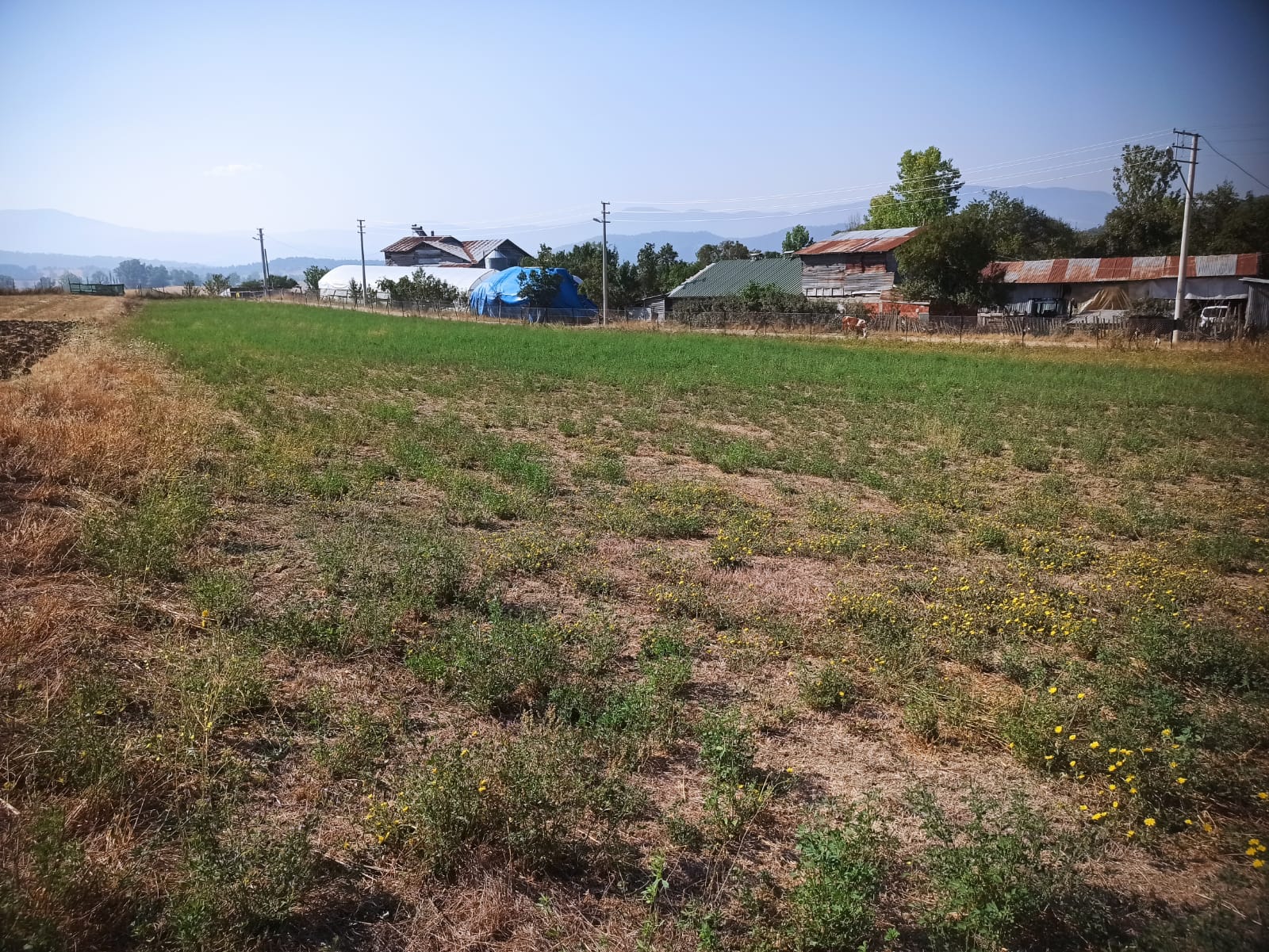 Mudurnu Sarıyar Köyü'nde Satılık 3438 M² Köyiçi Arazi