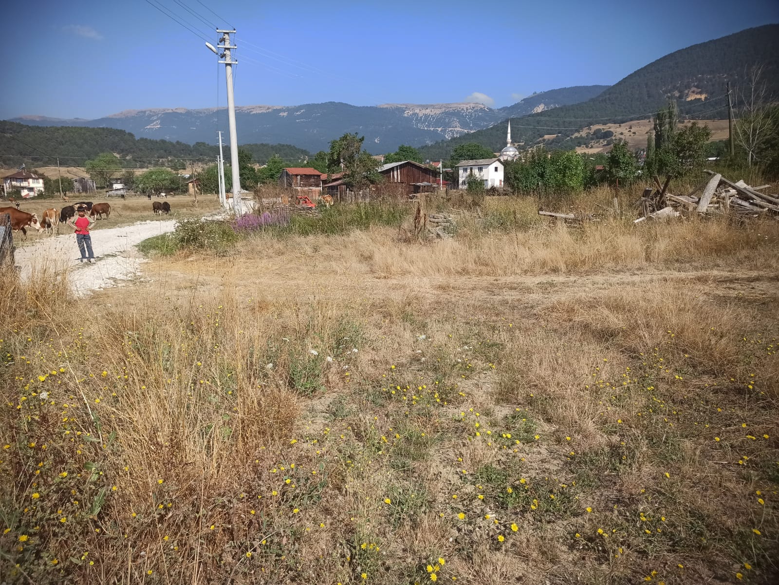 Mudurnu Sarıyar Köyü'nde Satılık 3438 M² Köyiçi Arazi