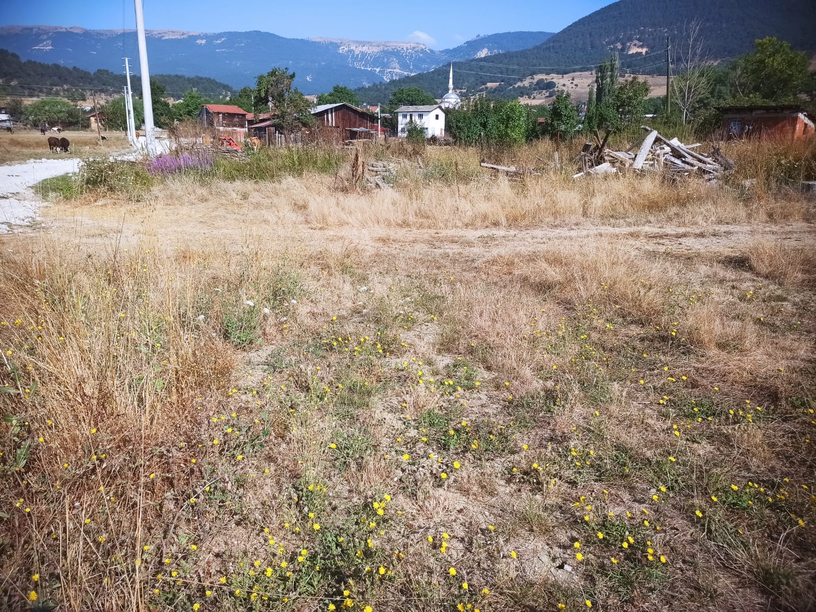 Mudurnu Sarıyar Köyü'nde Satılık 3438 M² Köyiçi Arazi
